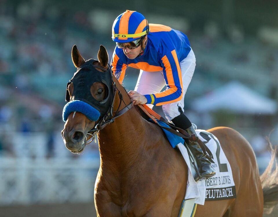 Plutarch - Robert B. Lewis Stakes - Santa Anita Park - Benoit Photo, CA.
