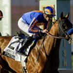 Plutarch - Robert B. Lewis Stakes - Santa Anita Park - Benoit Photo, CA.