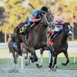Renegade - Sam F. Davis Stakes - SV Photography - Tampa Bay Downs