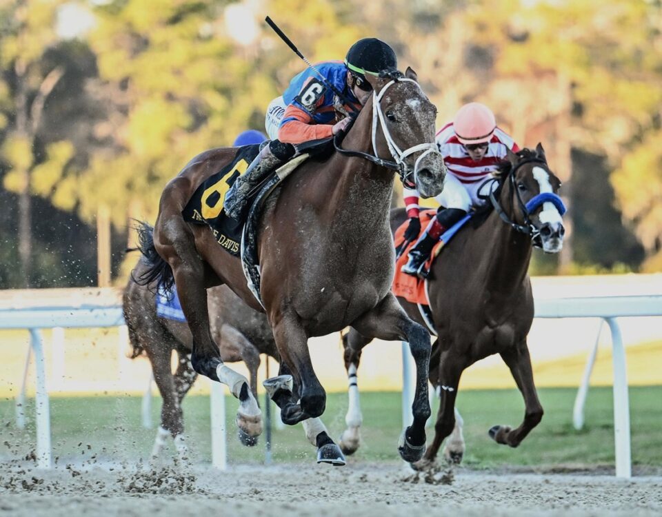 Renegade - Sam F. Davis Stakes - SV Photography - Tampa Bay Downs