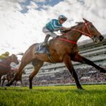 Romantic Warrior - Alex Evers - Hong Kong Jockey Club