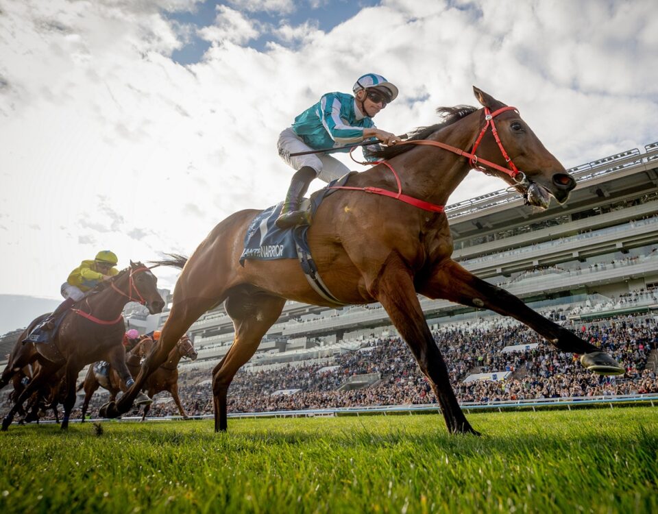Romantic Warrior - Alex Evers - Hong Kong Jockey Club