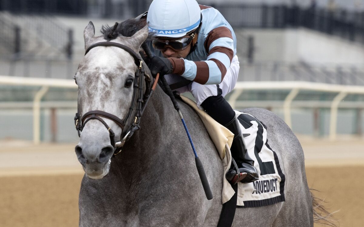 Schoolyardsuperman - Barbara D. Livingston - Daily Racing Form