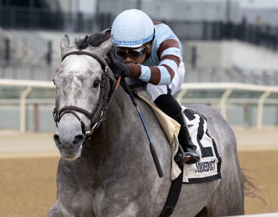 Schoolyardsuperman - Barbara D. Livingston - Daily Racing Form