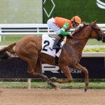 Senza Parole - Coglianese photo