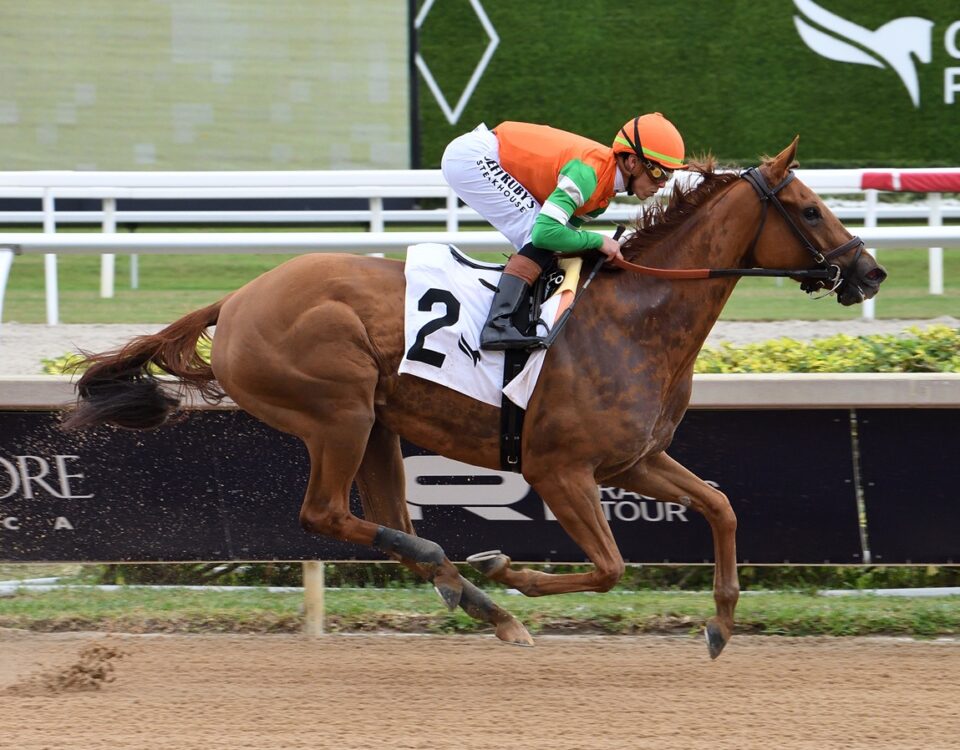 Senza Parole - Coglianese photo