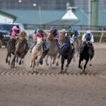 Stakes - Coglianese Photo