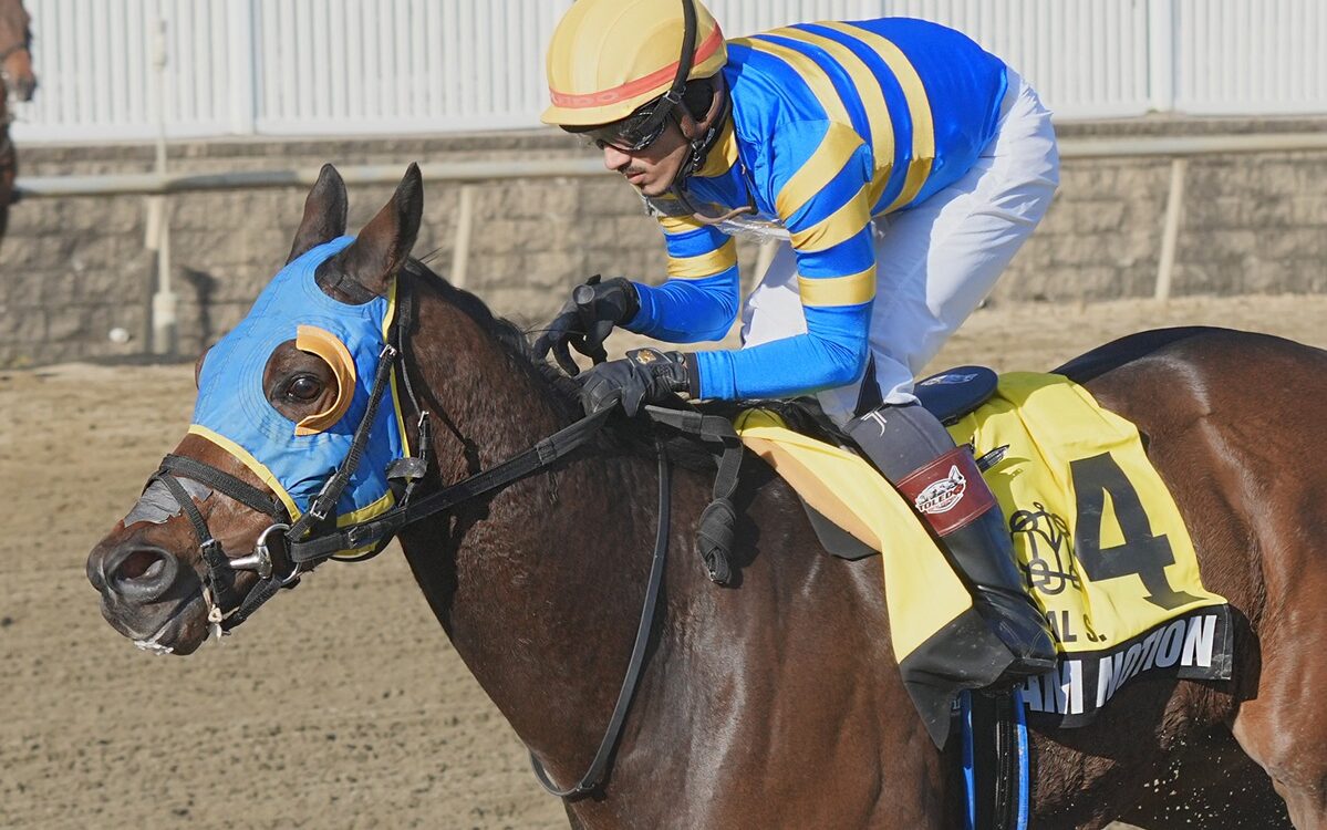 Slam Notion - Jeffrey Snyder - Maryland Jockey Club