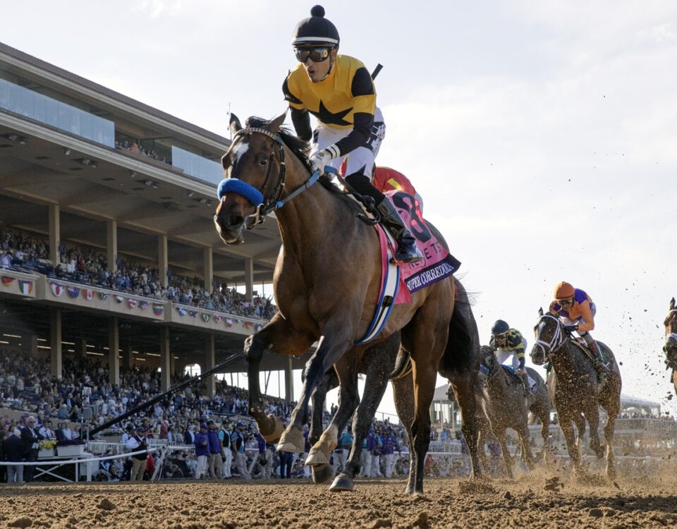 Super Corredora - Debbie Roma - Daily Racing Form