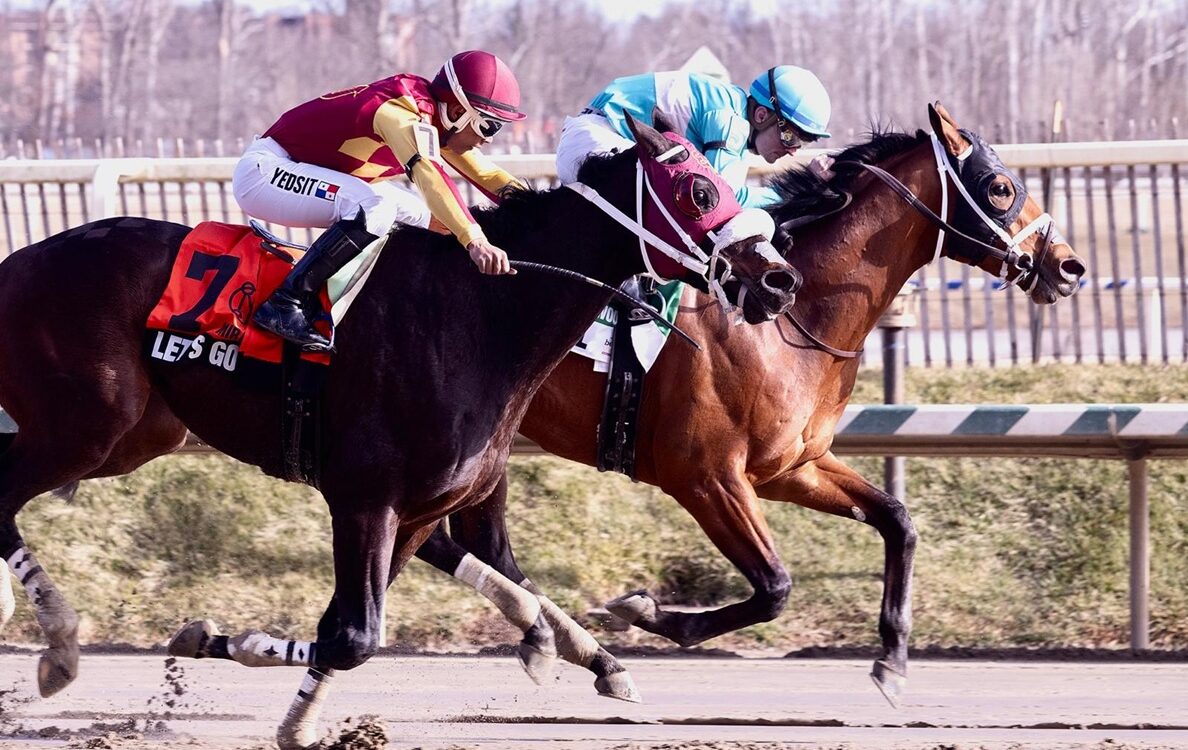 Taj Mahal - Miracle Wood Stakes - photo Jim McCue - Maryland Jockey Club