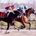Taj Mahal - Miracle Wood Stakes - photo Jim McCue - Maryland Jockey Club