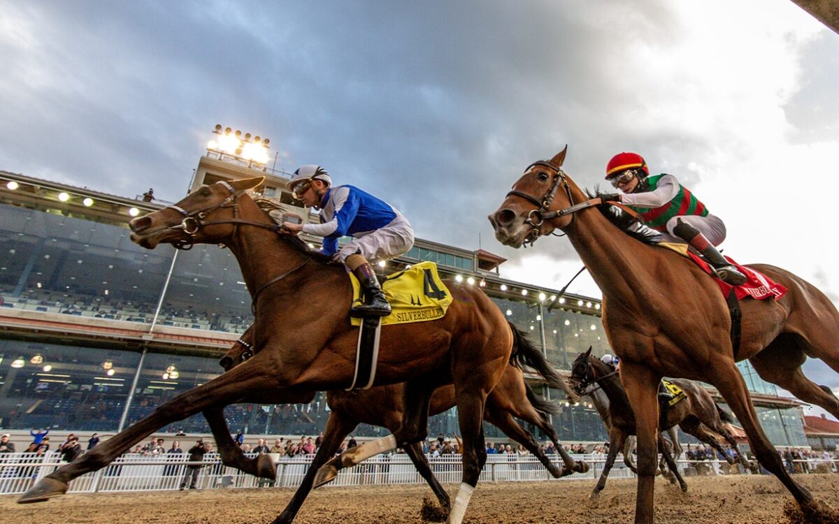 Taken By The Wind - Fair Grounds Racecourse in New Orleans, LA. Hodges Photography/Amanda Hodges