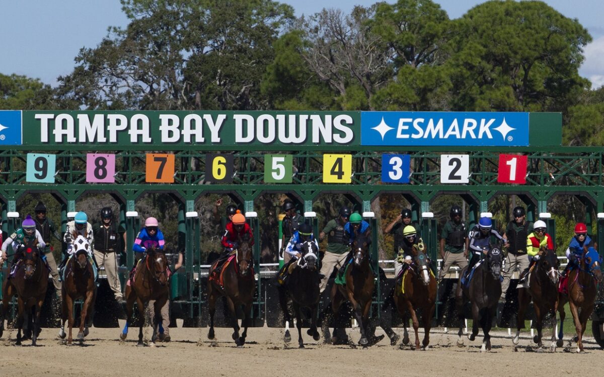 Tampa Bay Downs - Tom Keyser photo / DRF