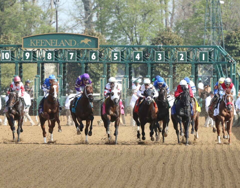 Keeneland scenic - Coady Media / Keeneland