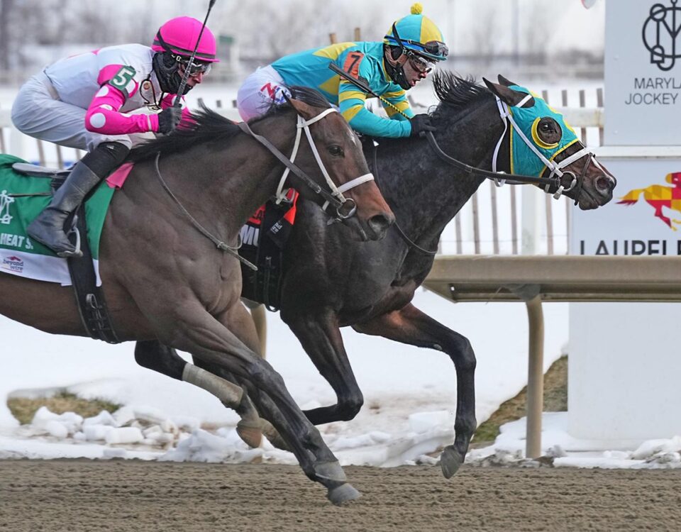 VICTORY MUSIC - Photo: Jeffrey Snyder f/ The Maryland Jockey Club