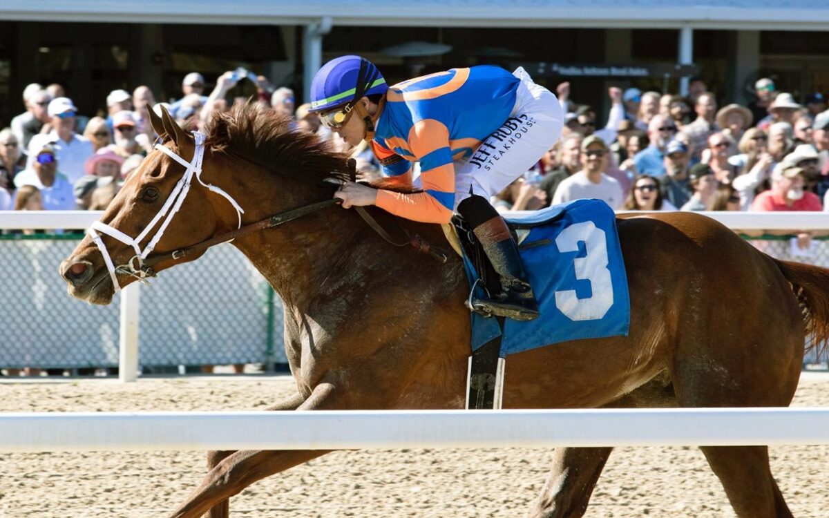 Zany -Suncoast Stakes - Tom Keyser - Daily Racing Form