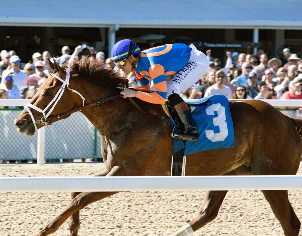 Zany -Suncoast Stakes - Tom Keyser - Daily Racing Form