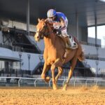 Paladin - Coglianese Photo, NY.