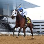 Talk to Me Jimmy - Withers - Coglianese Photo NY