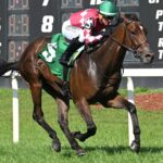 Tampa Bay Downs - SV Photography