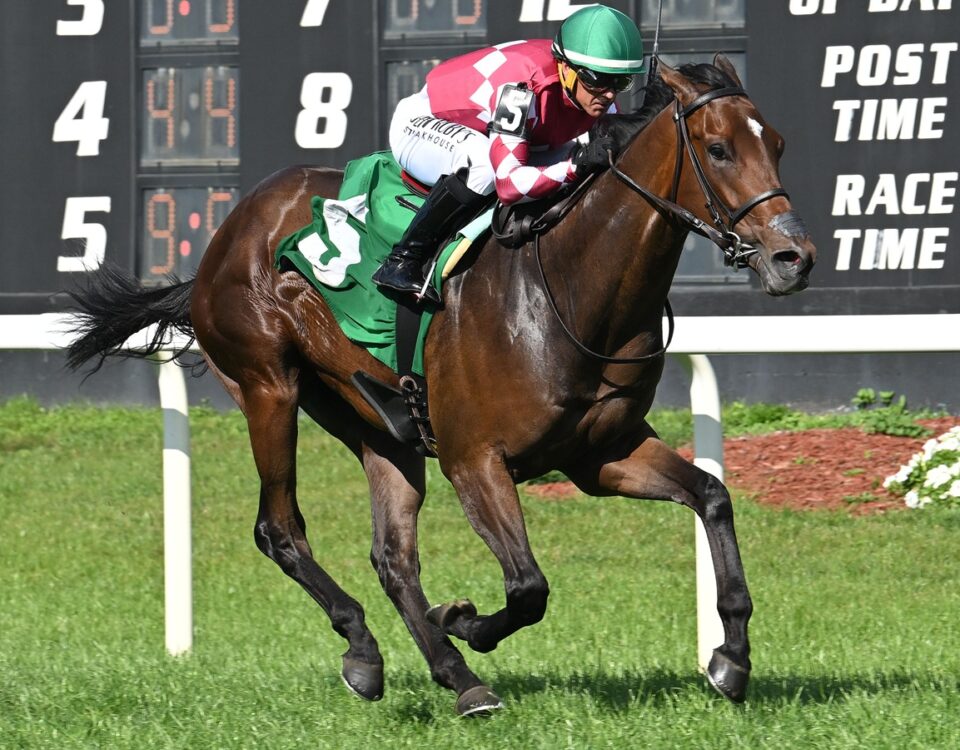 Tampa Bay Downs - SV Photography