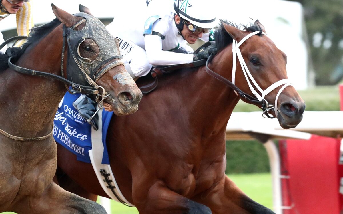 CLASS PRESIDENT - Rebel Stakes G2 - Coady Media