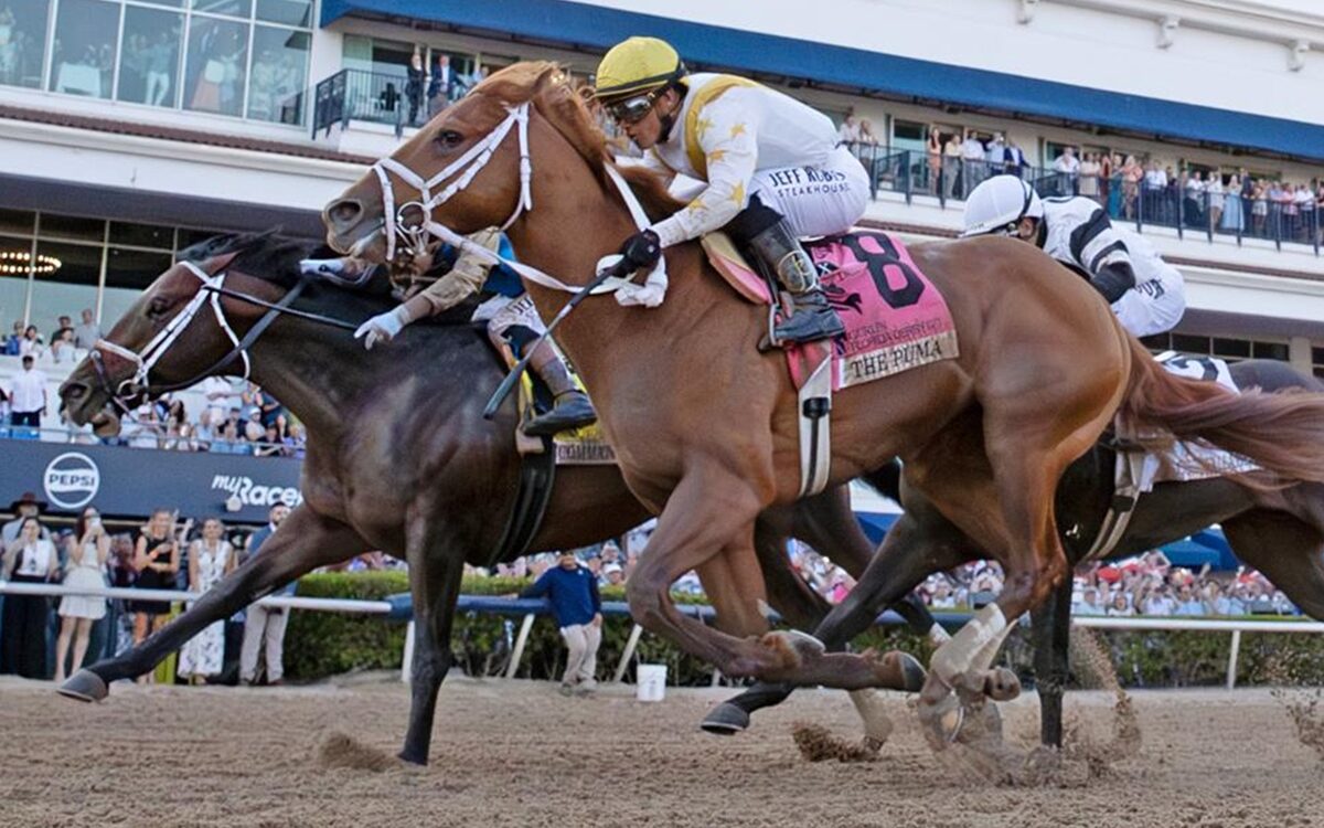 Commandment - Florida Derby - Barbara Livingston - Daily Racing Form