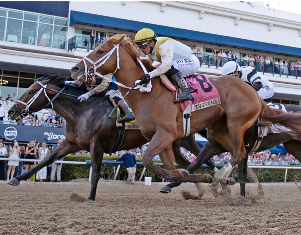 Commandment - Florida Derby - Barbara Livingston - Daily Racing Form