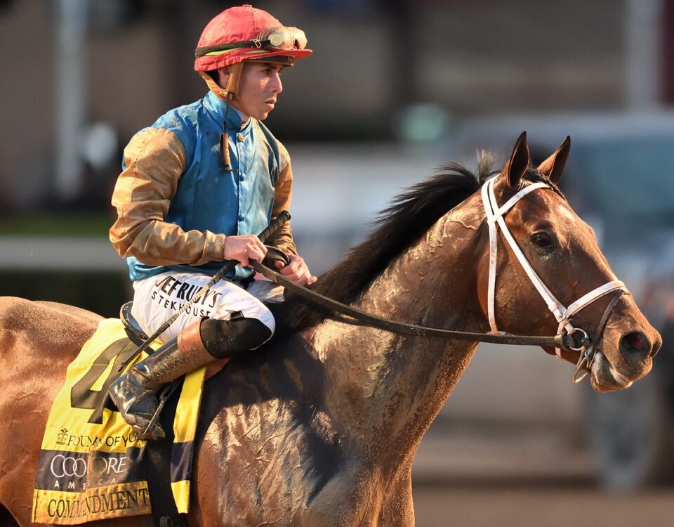 Commandment - Coglianese Photo - Gulfstream Park