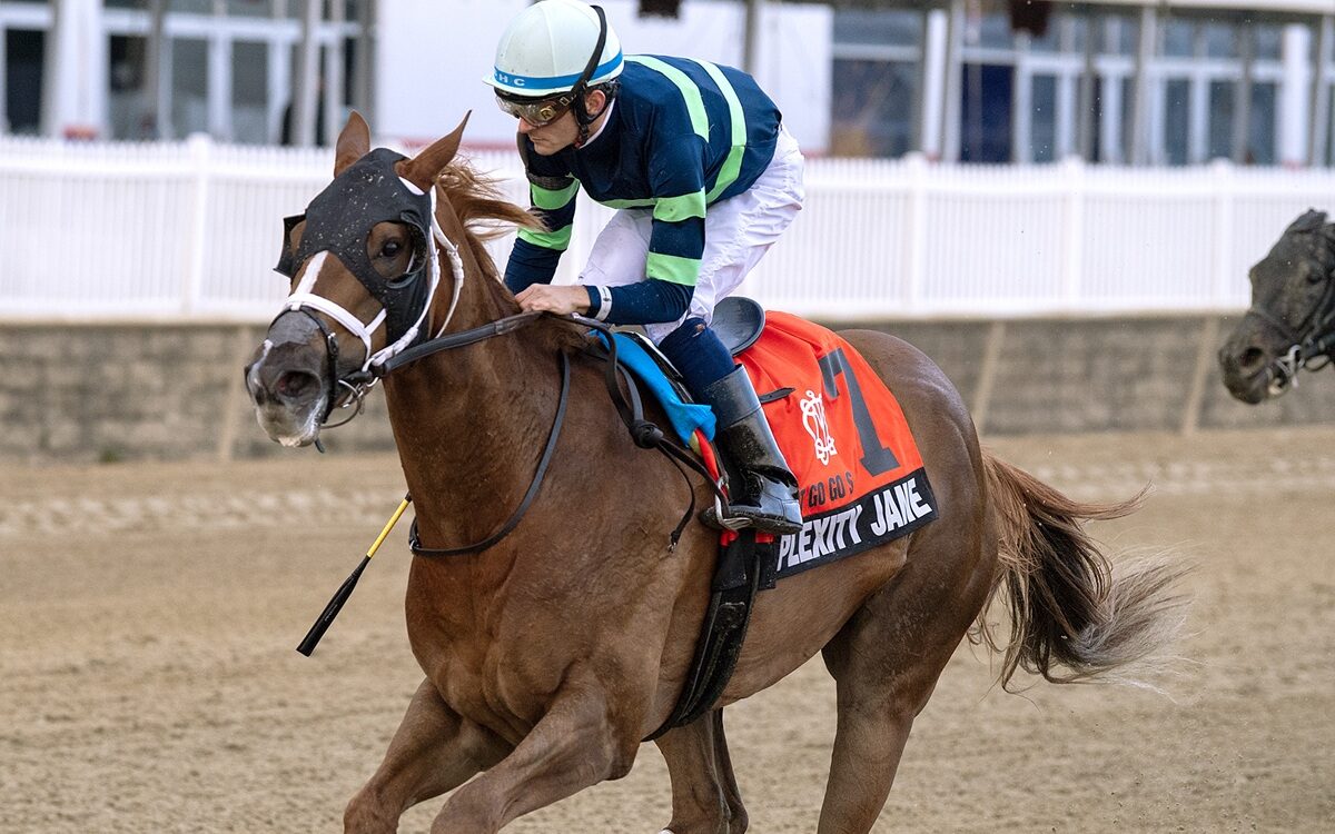 Complexity Jane - Jim McCue - Maryland Jockey Club