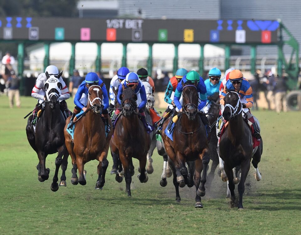 Gulfstream Park action - Nicole Thomas - Coglianese Photo
