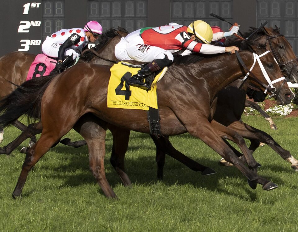 Destino D´Oro Hillsborough G2 $225,000 - Tom Keyser - Daily Racing Form