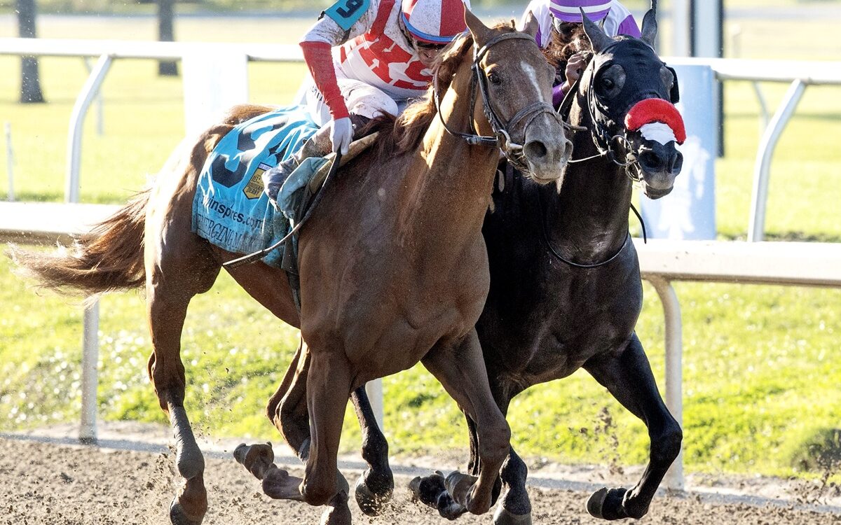 Emerging Market - Barbara D. Livingston - Daily Racing Form