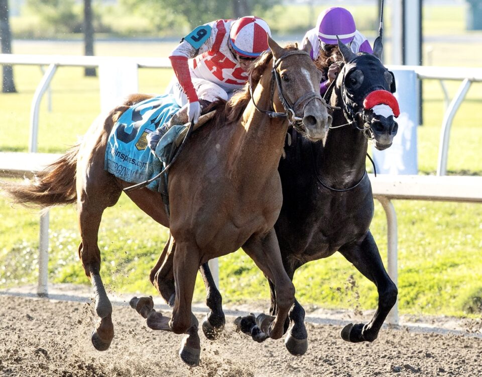 Emerging Market - Barbara D. Livingston - Daily Racing Form