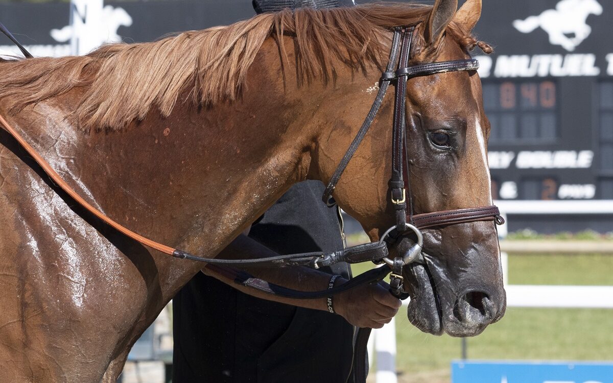 Emerging Market - Tom Keyser - Daily Racing Form