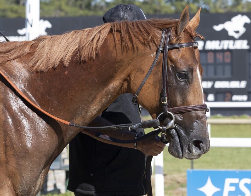 Emerging Market - Tom Keyser - Daily Racing Form