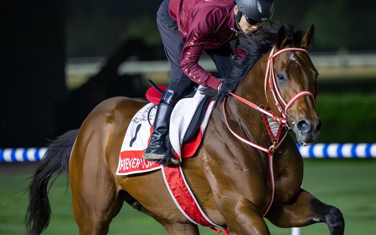 FOREVER YOUNG - Dubai Racing Club - Media