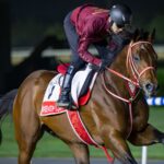 FOREVER YOUNG - Dubai Racing Club - Media
