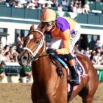 Further Ado - Coady Media