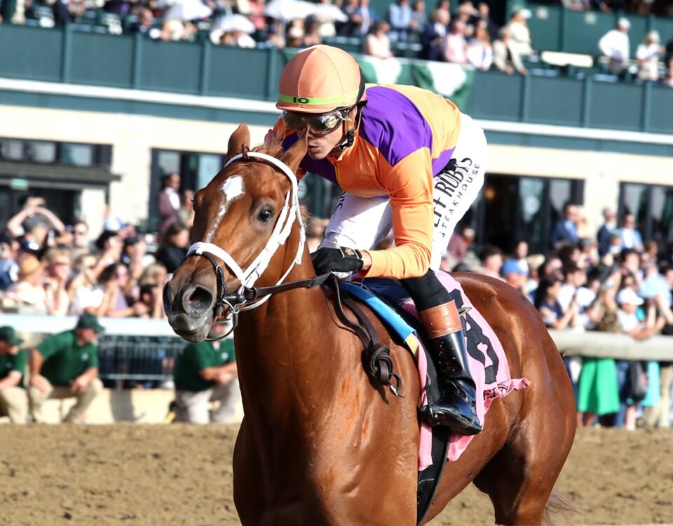 Further Ado - Coady Media