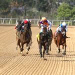 Racing Scenics - Coady Media