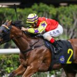 Crimson Flash - Hong Kong Jockey Club