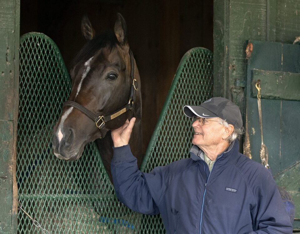 Sovereignty - Barbara Livingston photo - Daily Racing Form