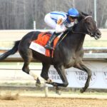INCREDIBOLT - The Virginia Derby -Colonial Downs - Coady Media - Ashley Phillips