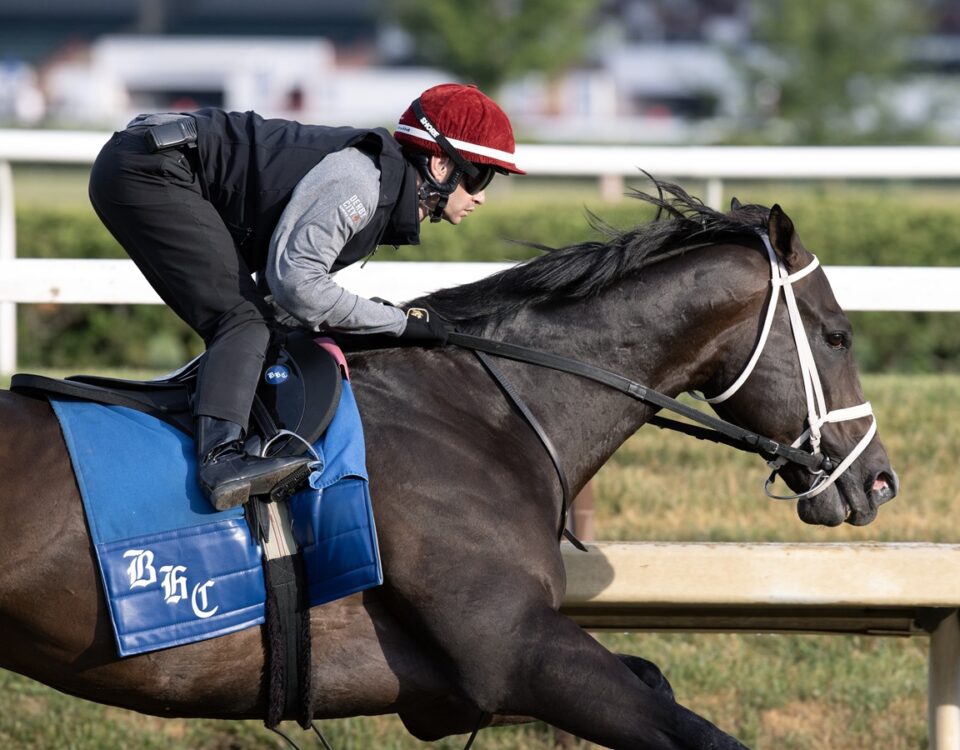 Just a Touch - Barbara D. Livingston - Daily Racing Form