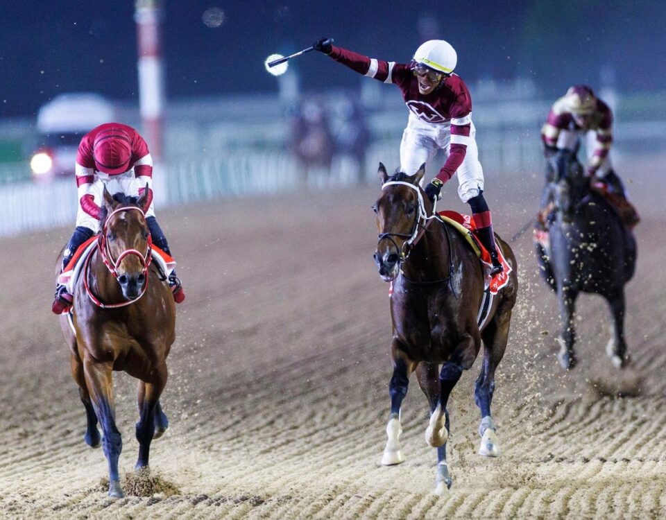 Magnitude - Dubai World Cup - Dubai Racing Media