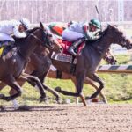 Miss Fulton Gal - Beyond the Wire Stakes - Laurel Park - Jim McCue - Maryland Jockey Club