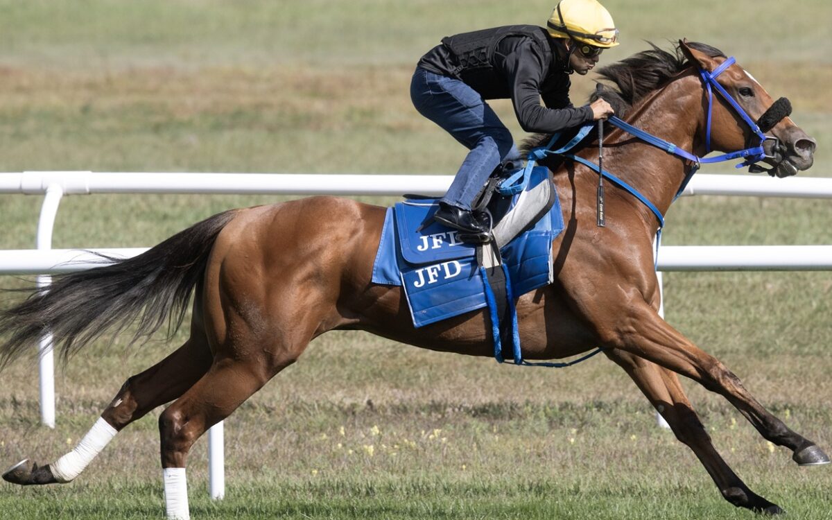 Monster - Barbara D. Livingston - Daily Racing Form