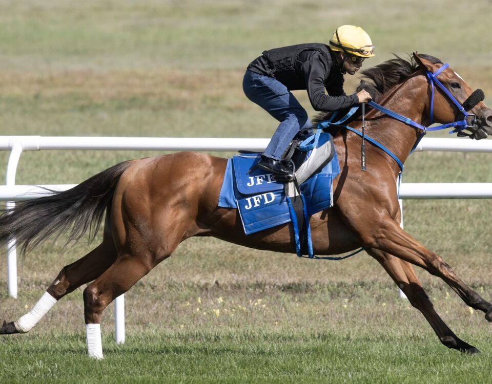 Monster - Barbara D. Livingston - Daily Racing Form
