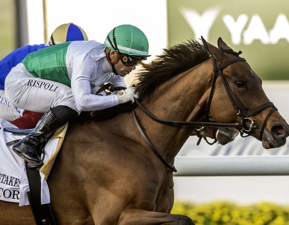 Mrs. Astor - Benoit Photo - California